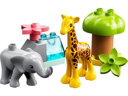 Wild Animals of Africa