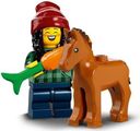 Horse and Groom