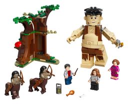 LEGO Forbidden Forest: Umbridge's Encounter (75967-1)