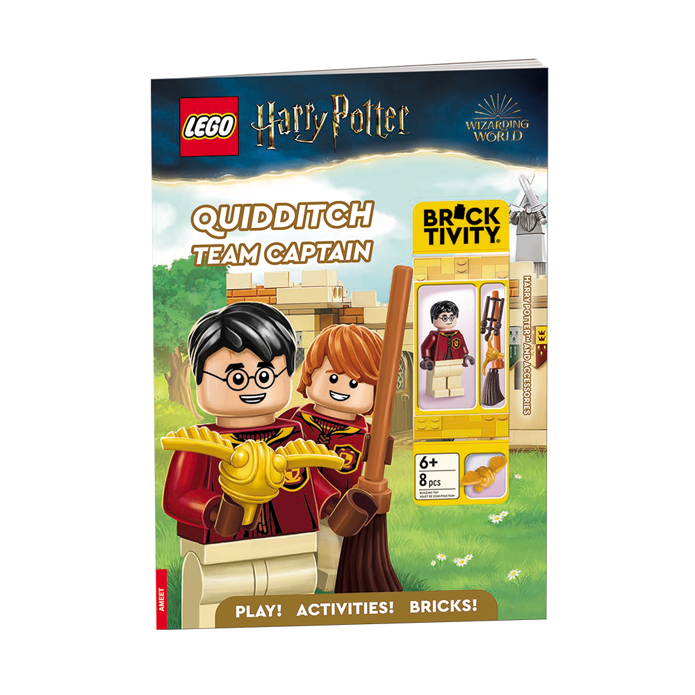 Harry Potter: Quidditch Team Captain