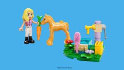 LEGO First Friendship (6636931-1)