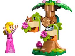 Aurora's Forest Playground