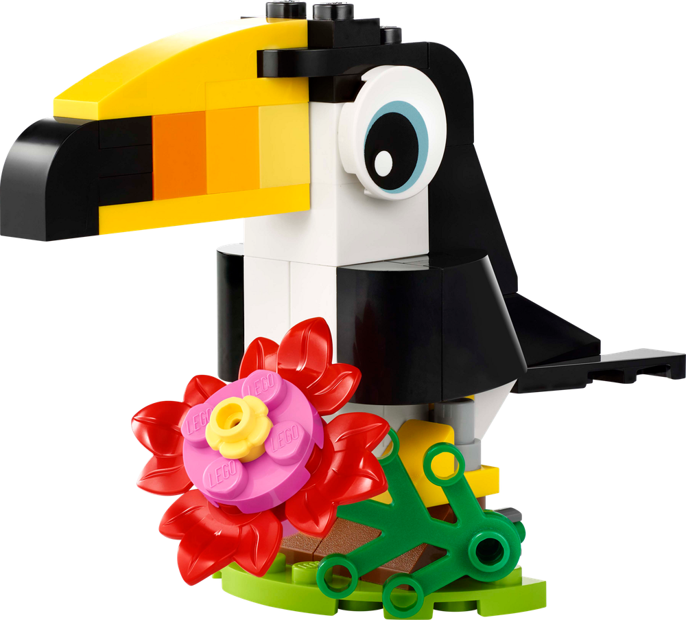 Tropical Toucan