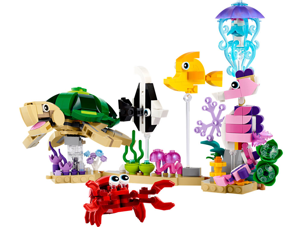 Sea Animals