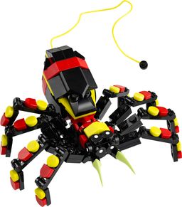 Wild Animals: Surprising Spider