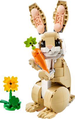 Cute Bunny