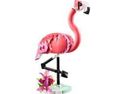 Wild Animals: Pink Flamingo