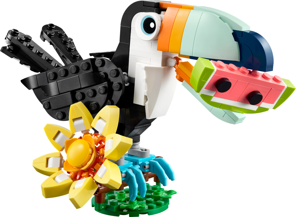 Wild Animals: Tropical Toucan