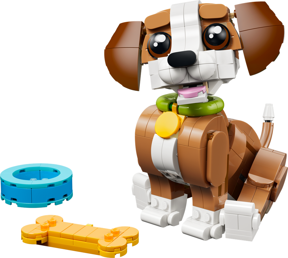 Cute Animals: Playful Puppy Dog