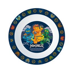 Ninjago: Dragons Rising Bowl