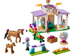 LEGO Horse Training (41746-1)
