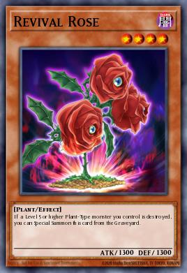 Revival Rose