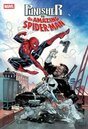 Punisher vs. Spider-Man