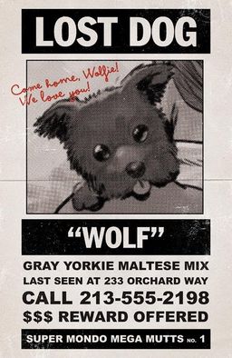 Variant cover