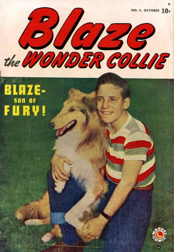 Blaze the Wonder Collie