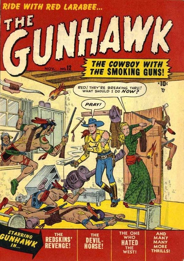 The Gunhawk