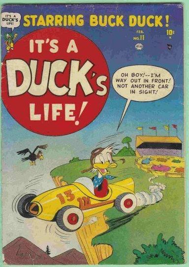 It's a Duck's Life #11