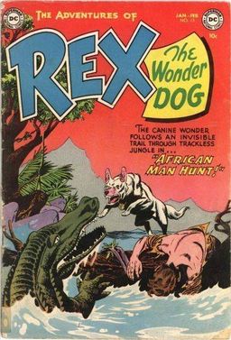 #13