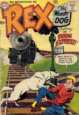 #43