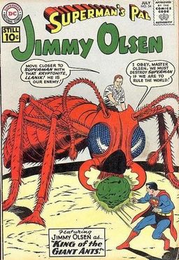 #54