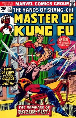 Master of Kung Fu #29 cover