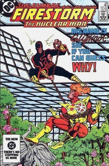 The Fury of Firestorm #28