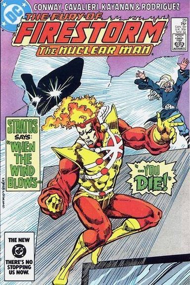 The Fury of Firestorm #29