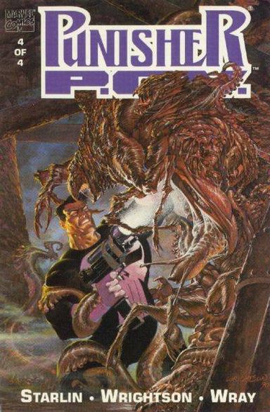 Punisher: P.O.V. #4