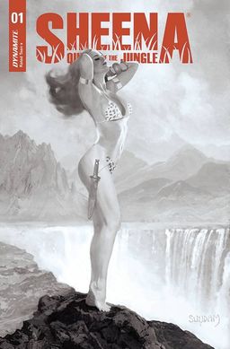 Variant cover