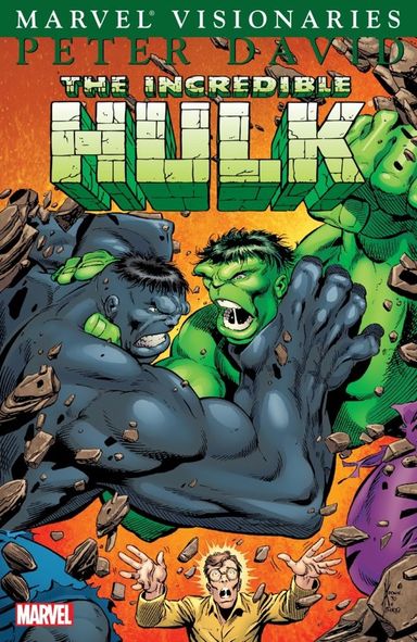 Hulk Visionaries: Peter David #6