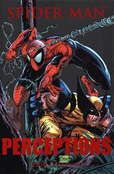Spider-Man: Perceptions