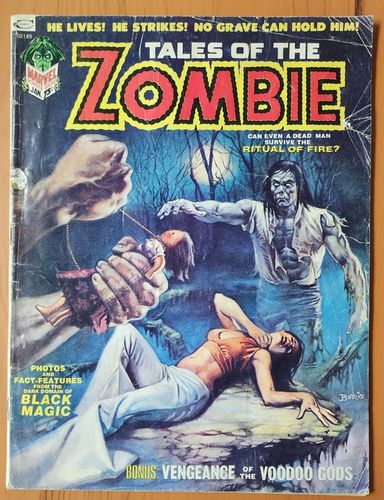 Tales of the Zombie #3
