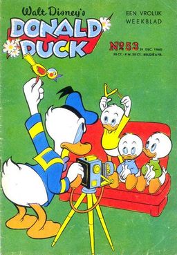 #339