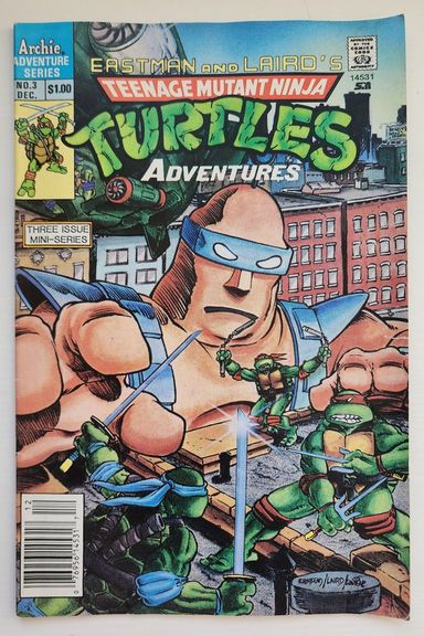 Teenage Mutant Ninja Turtles Adventures #3