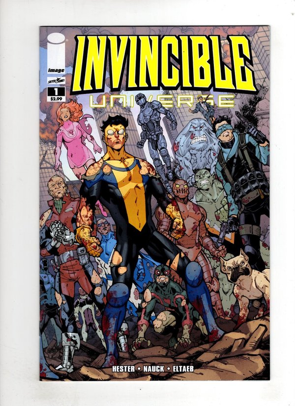 Invincible Universe