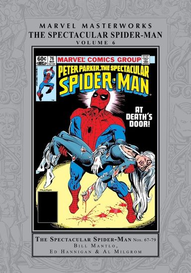 Marvel Masterworks: The Spectacular Spider-Man #6