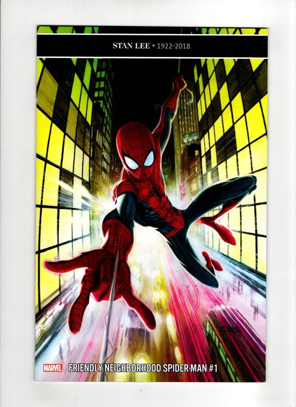 Friendly Neighborhood Spider-Man