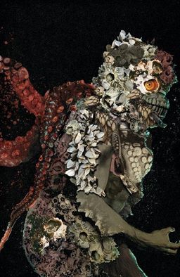 Cover C