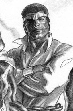 Alex Ross Timeless Cover