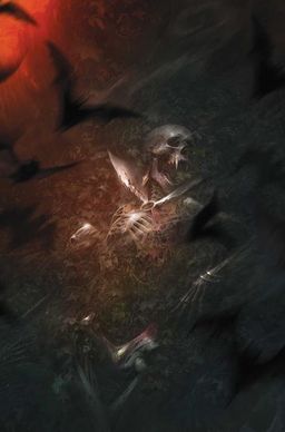 Variant cover