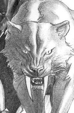 Greg Land Cover