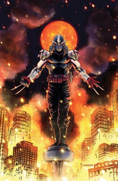 Teenage Mutant Ninja Turtles: Shredder #6