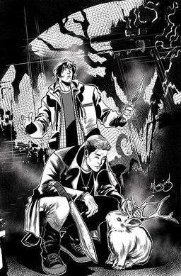 Variant cover