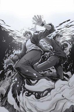 Variant cover