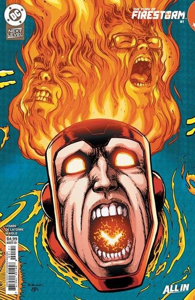 The Fury of Firestorm #1