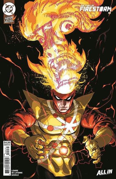 The Fury of Firestorm #2
