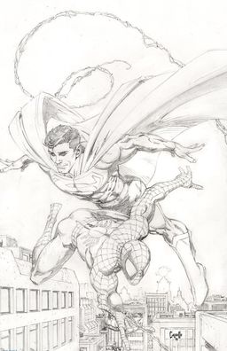 R. B. Silva Exclusive Virgin Foil Cover