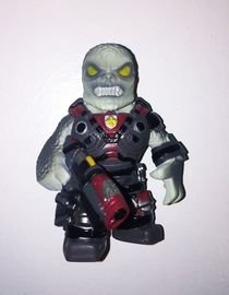 Locust Drone