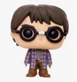 Harry Potter (Dudley's Clothes)