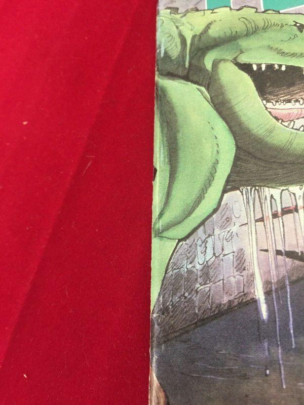 Tales of the Teenage Mutant Ninja Turtles #6 - image 4